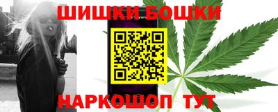 крисы Партизанск