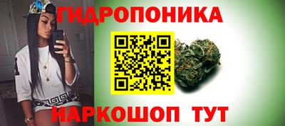 крисы Партизанск