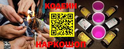 крисы Партизанск