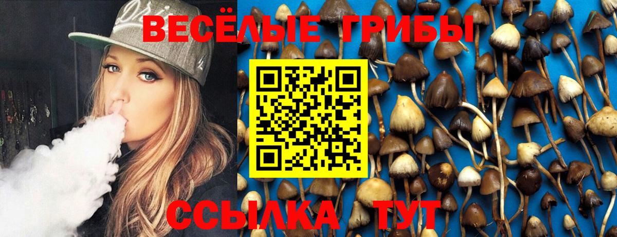 хочу наркоту  Вход с VPN  Псилоцибиновые грибы мухоморы  Алушта  Псилоцибиновые грибы Cubensis 